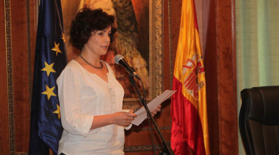 El Pleno da luz verde a la solicitud a la Junta para el archivo del expediente del deslinde entre Marbella y Benahavís y al cambio de uso de la terminal de autobuses de San Pedro