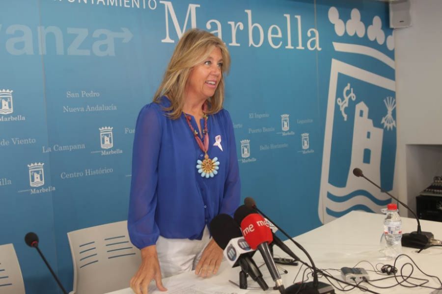 Imagen de la noticia Once empresas optan a construir el parque urbano…