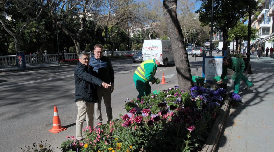 El Ayuntamiento mantiene su apuesta por el embellecimiento de las zonas verdes con la plantación de 20.000 flores en 30 puntos de la ciudad