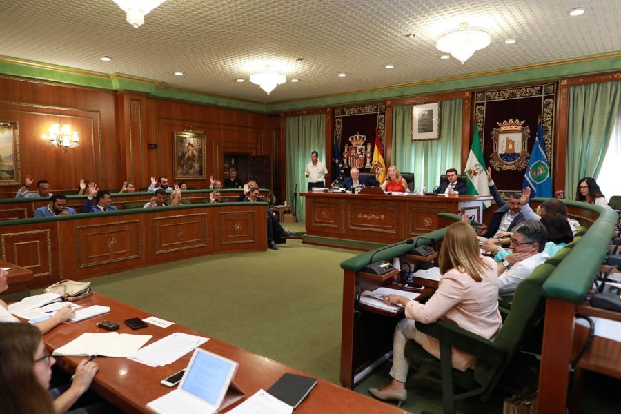 Imagen de la noticia El Pleno aprueba una rebaja del tipo impositivo d…