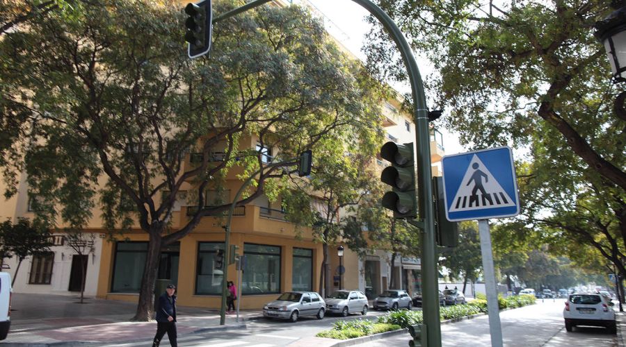 El nuevo cruce semafórico de la avenida Virgen del Rocío de San Pedro Alcántara entrará en funcionamiento mañana