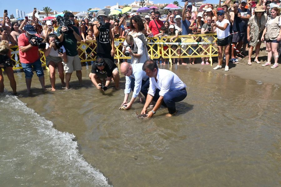 Imagen de la noticia Regresan al mar un total de 49 crías de tortuga b…