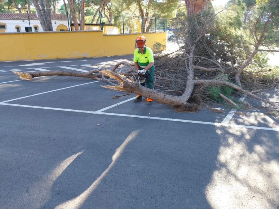 Imagen de la noticia El Ayuntamiento atiende más de 60 incidencias oca…