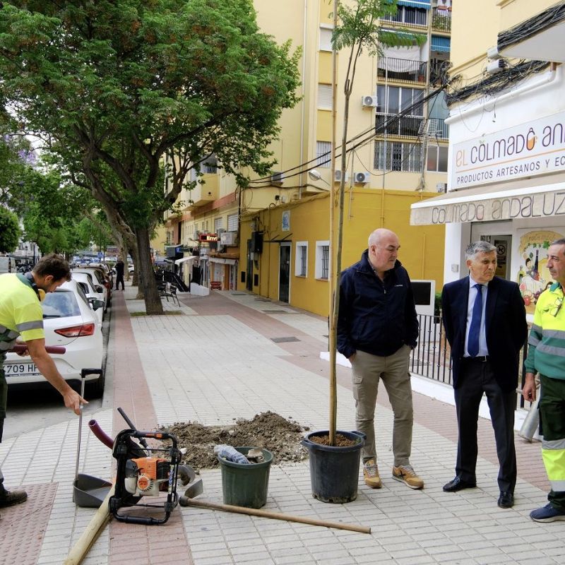 El Ayuntamiento acomete un plan paisajístico y de sostenibilidad urbana en San Pedro Alcántara con la plantación de 300 árboles antes de verano
