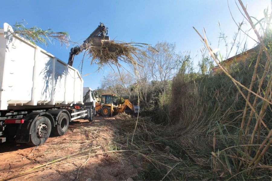 Imagen de la noticia Los servicios operativos municipales trabajan en…