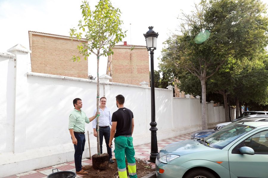 Imagen de la noticia Marbella finalizará el año con la siembra de 350…