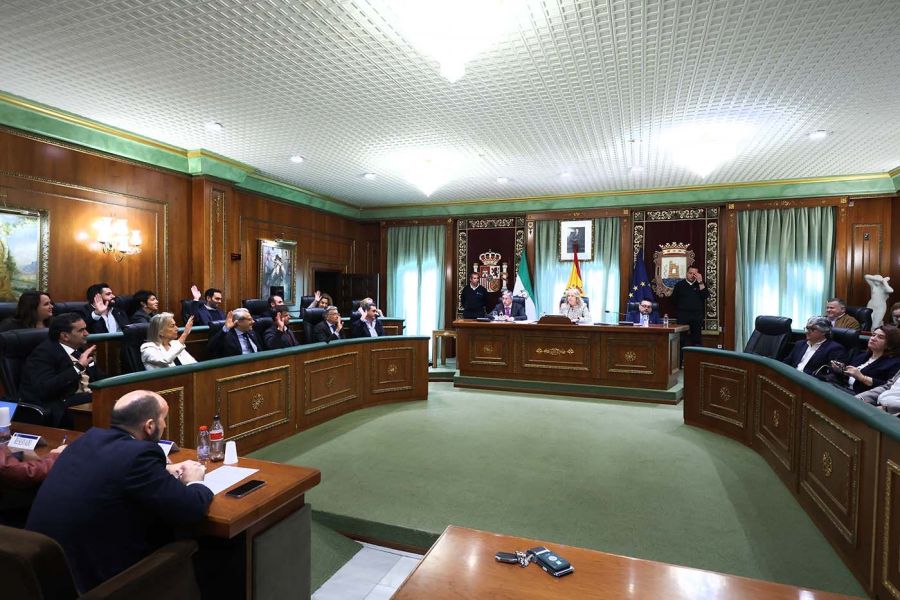 Imagen de la noticia Marbella aprueba de forma inicial los presupuesto…