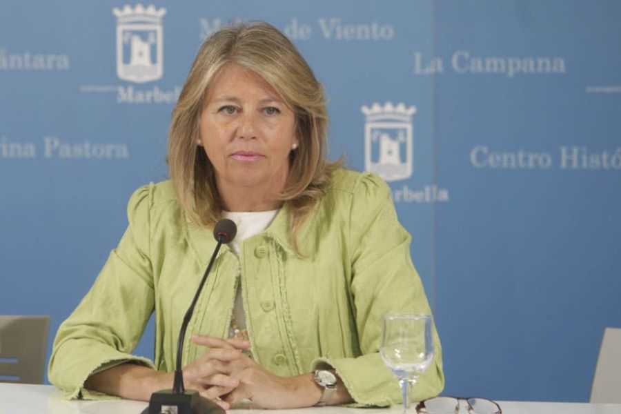 Imagen de la noticia El Ayuntamiento impulsa un Plan  Municipal para e…
