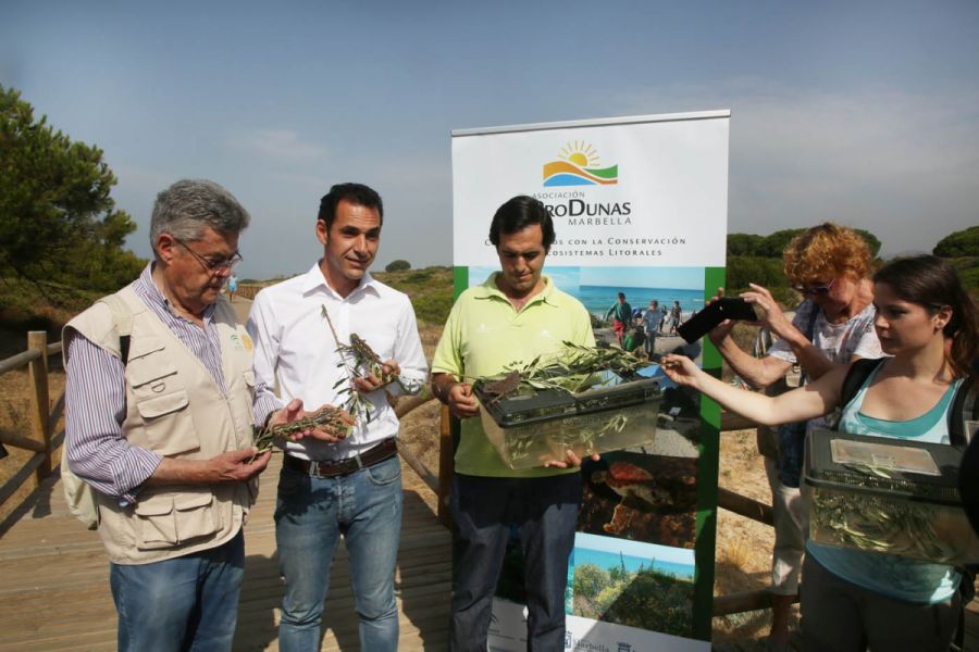 Imagen de la noticia El Ayuntamiento colabora en la suelta de camaleon…
