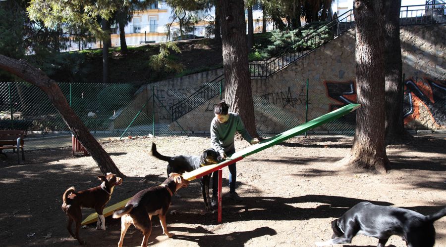 El Ayuntamiento pone en funcionamiento cuatro nuevos parques caninos en Las Chapas, San Pedro y Marbella