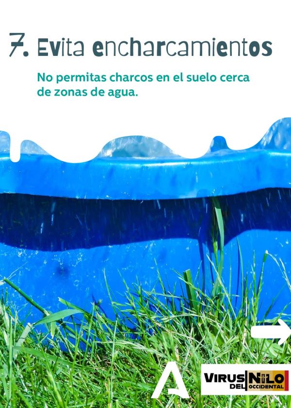Evita encharcamientos