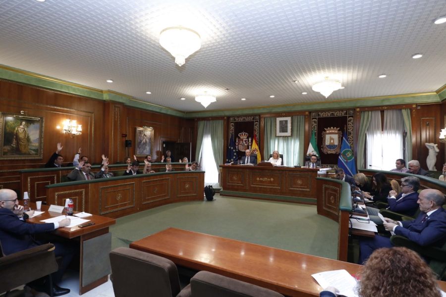 Imagen de la noticia El Pleno aprueba la segunda modificación de las n…