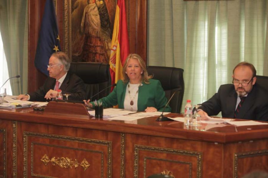 Imagen de la noticia El Pleno aprueba la actualización del patrimonio…