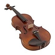 Viola