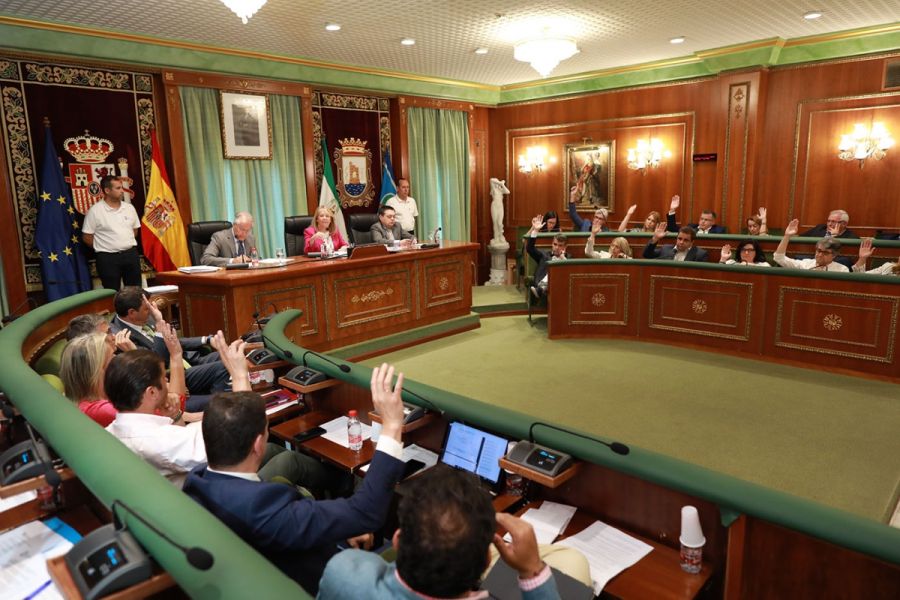 Imagen de la noticia El Pleno da luz verde a la nueva estructura organ…