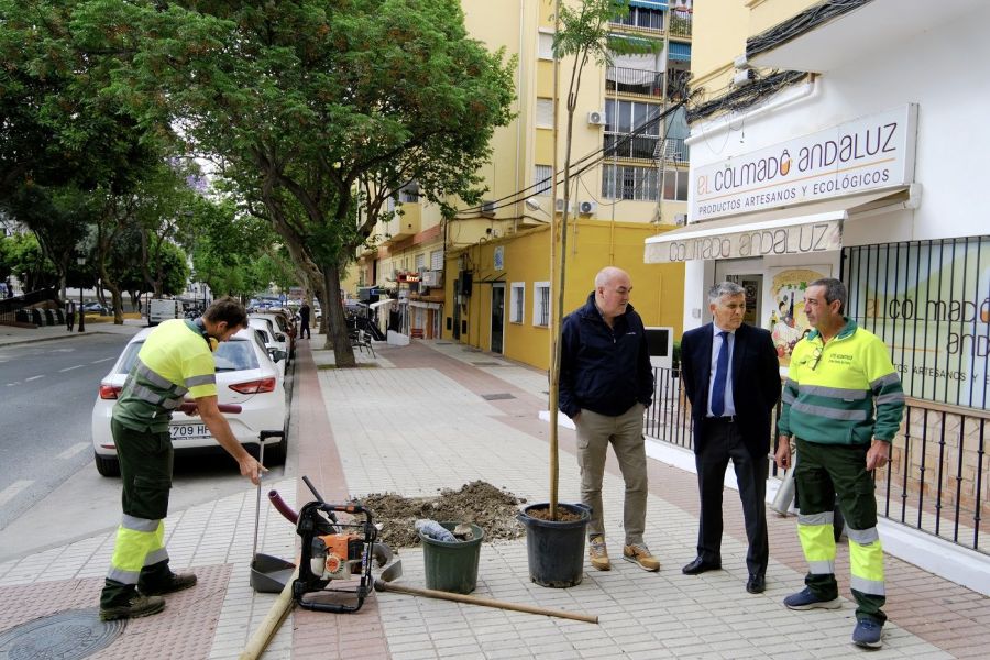 Imagen de la noticia El Ayuntamiento acomete un plan paisajístico y de…