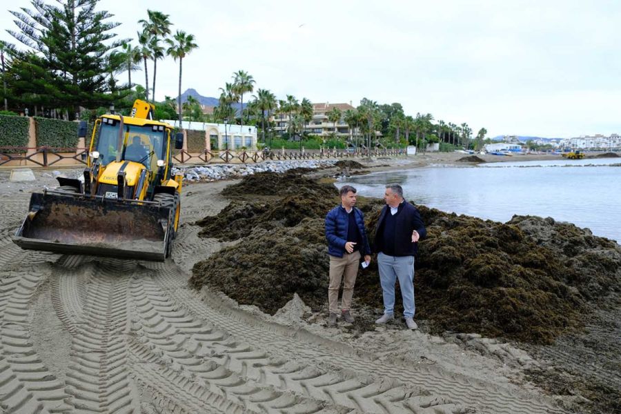 Imagen de la noticia Marbella destina en lo que va de año más de 800.0…