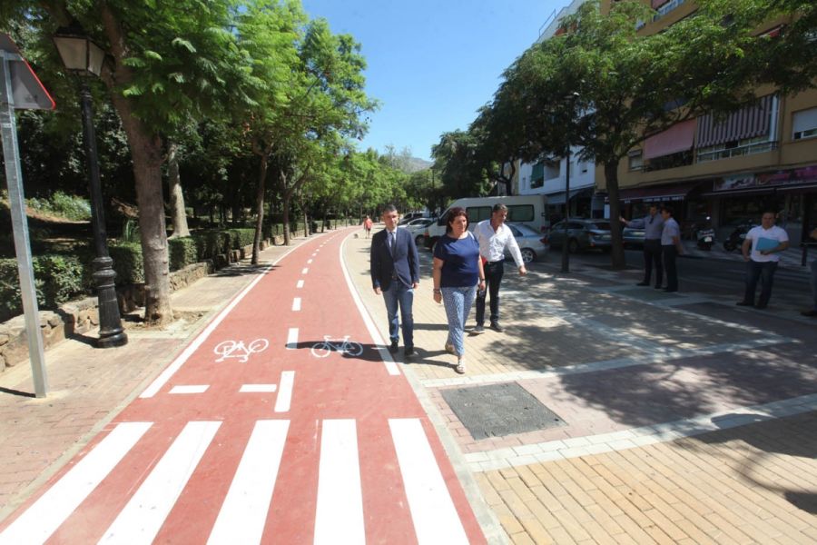 Imagen de la noticia El Ayuntamiento mejora la avenida Doctor Maíz Viñ…