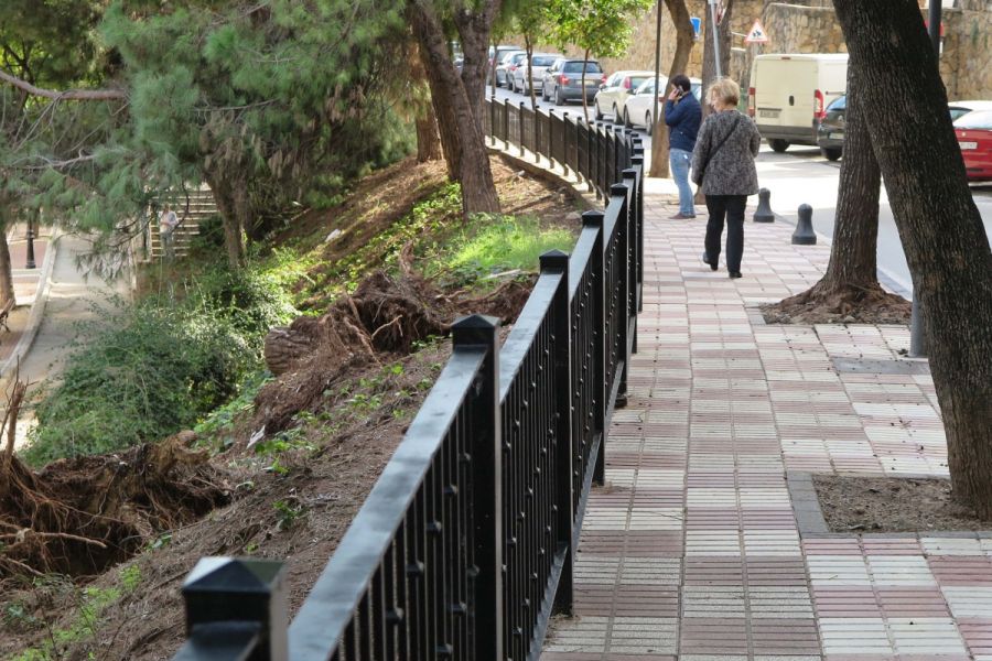 Imagen de la noticia El Ayuntamiento instala barandillas para garantiz…