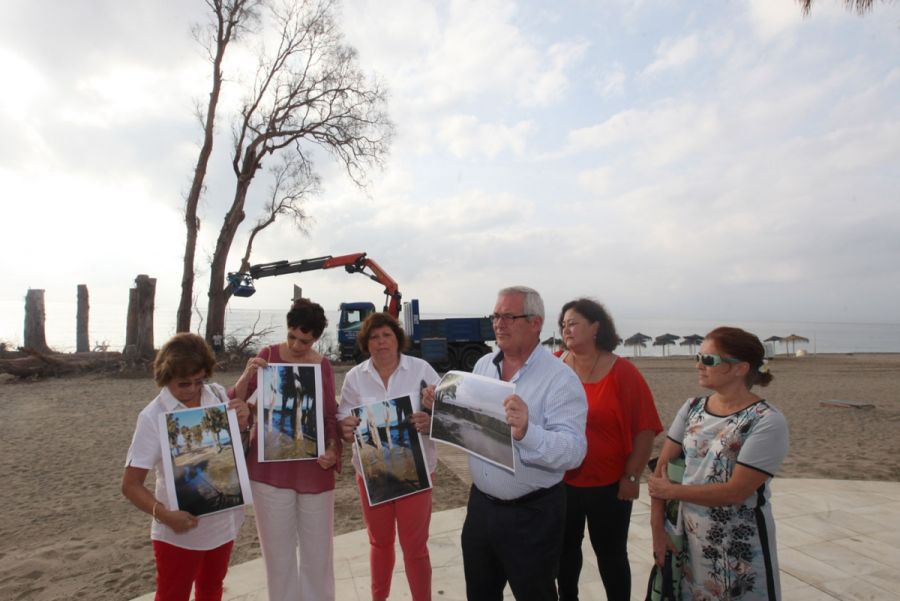 Imagen de la noticia La Tenencia de Alcaldía de San Pedro Alcántara au…