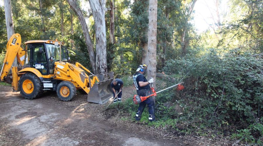 La Tenencia de Alcaldía de San Pedro Alcántara impulsa la recuperación y puesta en valor del Parque de Las Medranas