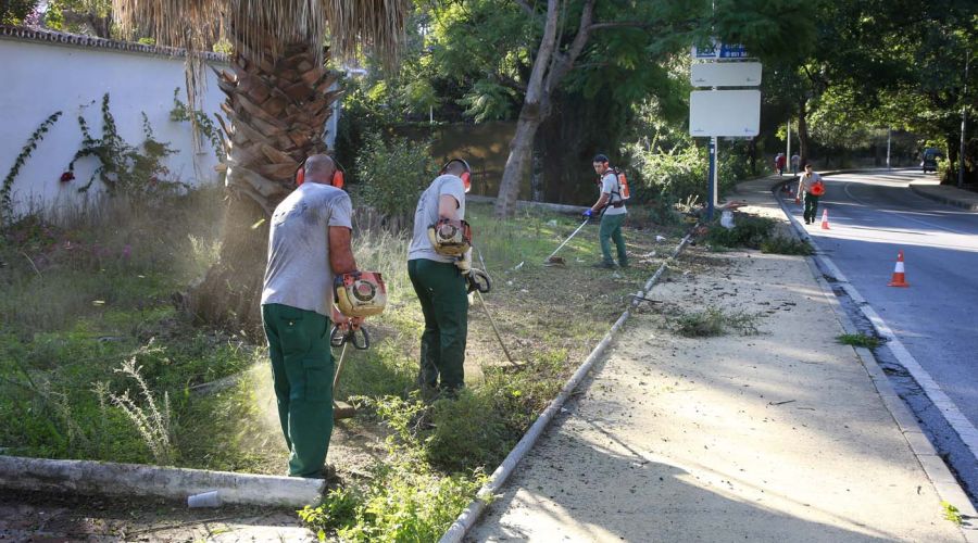 El Ayuntamiento desbrozará 10.000 metros lineales de avenidas y viales en Nueva Andalucía