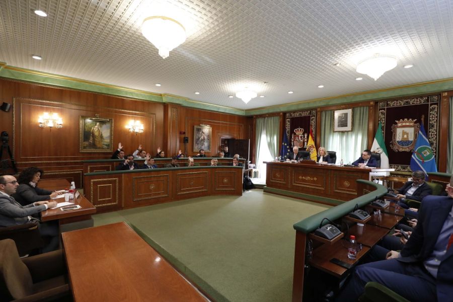 Imagen de la noticia El Pleno extraordinario da luz verde de forma ini…