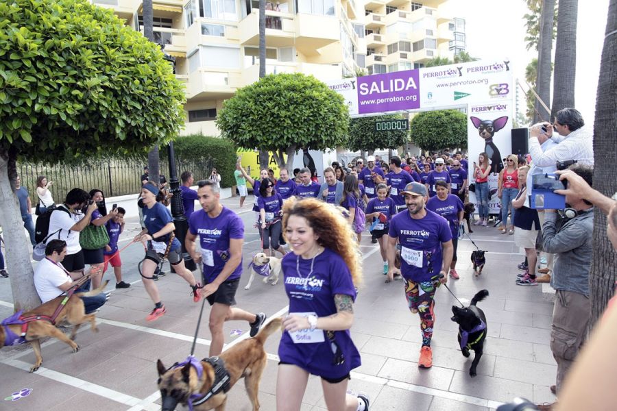 Imagen de la noticia El alcalde respalda la Carrera Solidaria 'Perrotó…