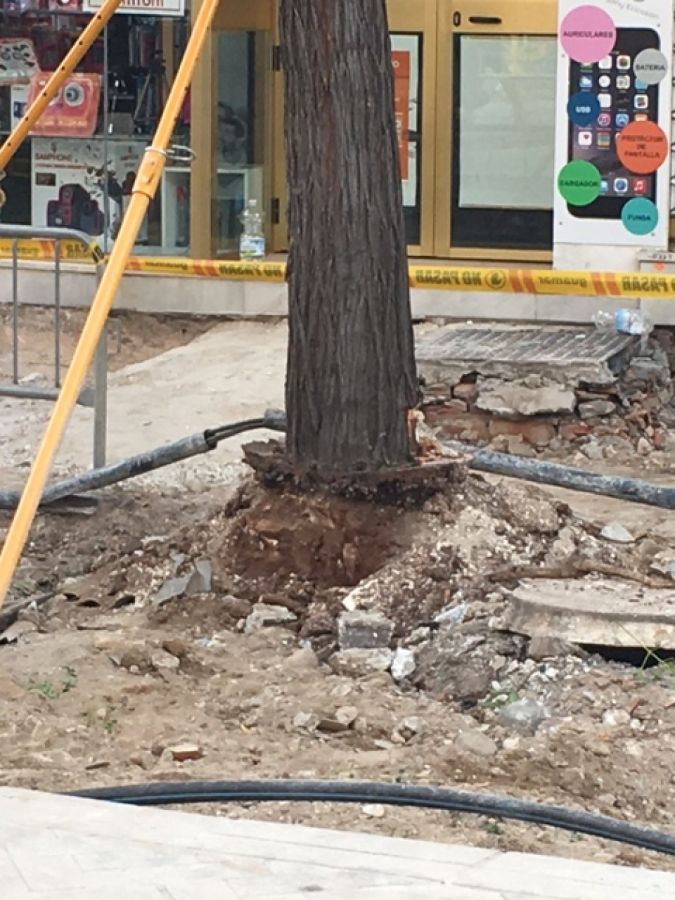 Imagen de la noticia El Equipo de Gobierno asegura que la Avenida Nabe…