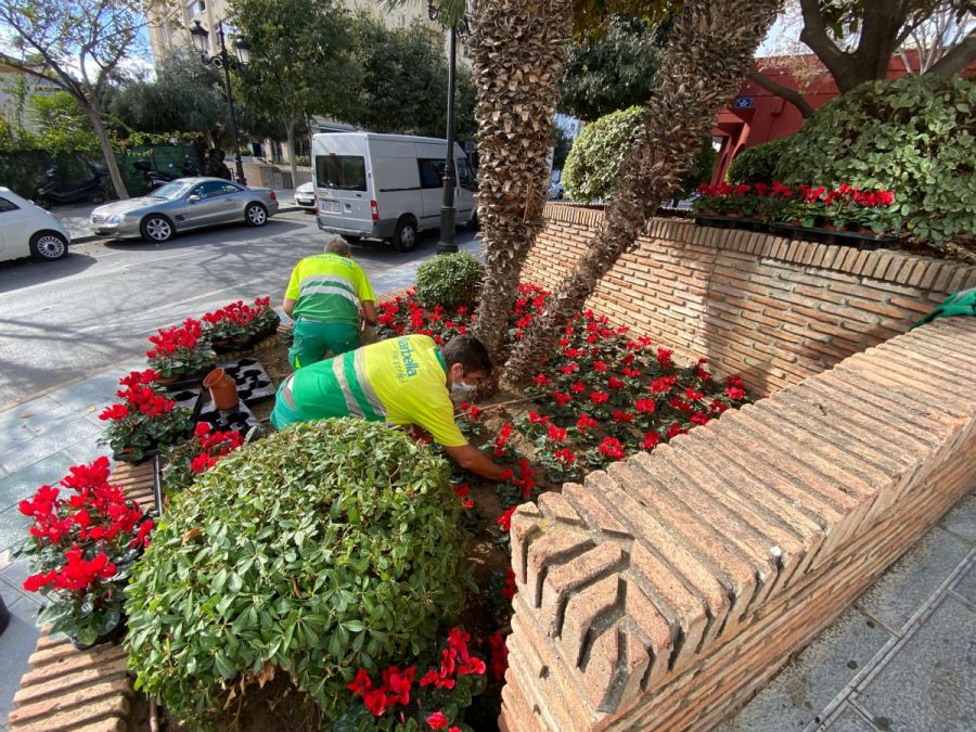 Imagen de la noticia El Ayuntamiento finaliza el Plan de Embellecimien…