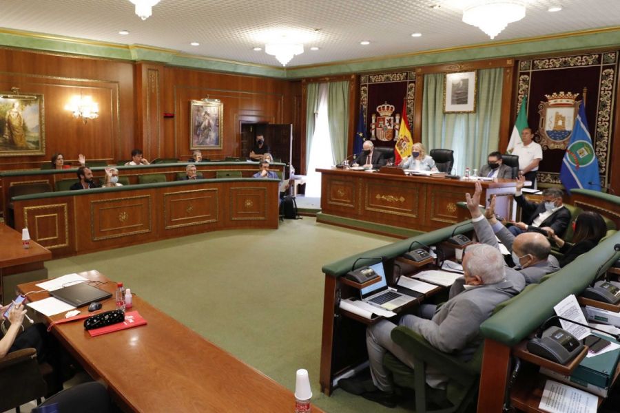 Imagen de la noticia El Pleno reclama al Gobierno central la liberaliz…