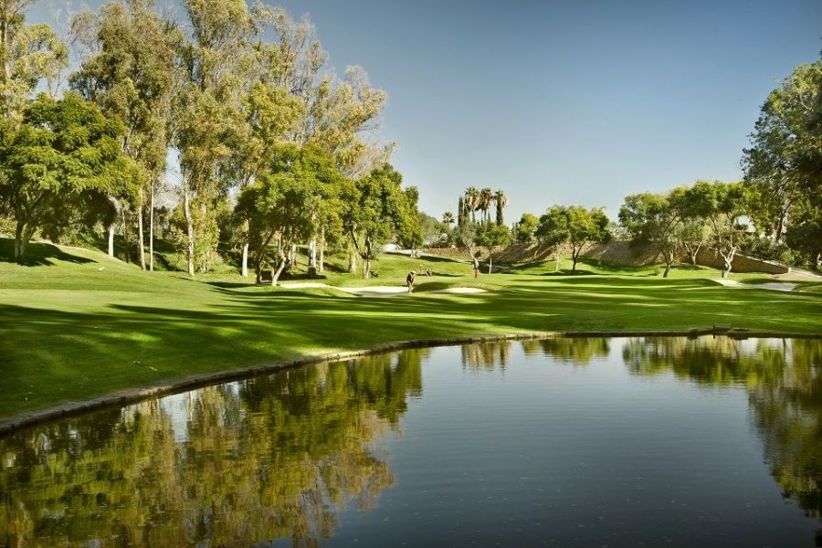 Imagen de la noticia Marbella reforzará su promoción turística interna…