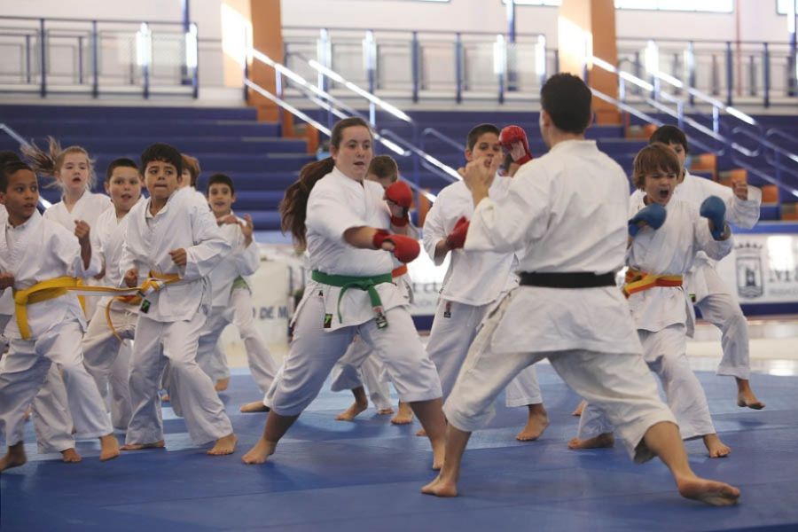 Imagen de la noticia El Palacio de Deportes de San Pedro acogerá este…