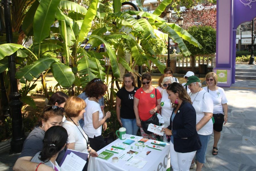 Imagen de la noticia La ciudad celebra la ‘Caminata sin Humo’ organiza…