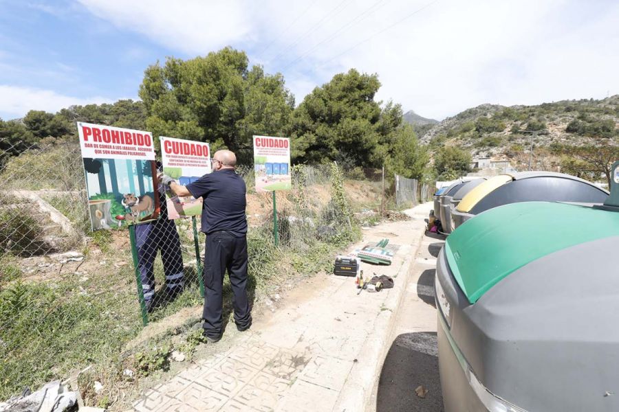 Imagen de la noticia El Ayuntamiento refuerza las medidas para control…