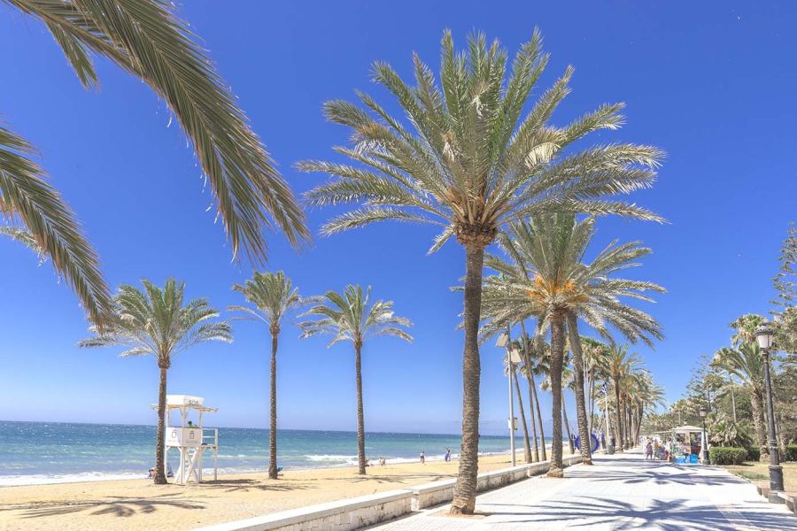 Imagen de la noticia Marbella reforzará su promoción turística en merc…
