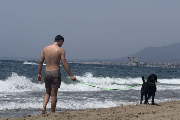 El Ayuntamiento destaca que la ciudad mantiene espacios habilitados para disfrutar de la playa con mascotas durante la temporada de baño