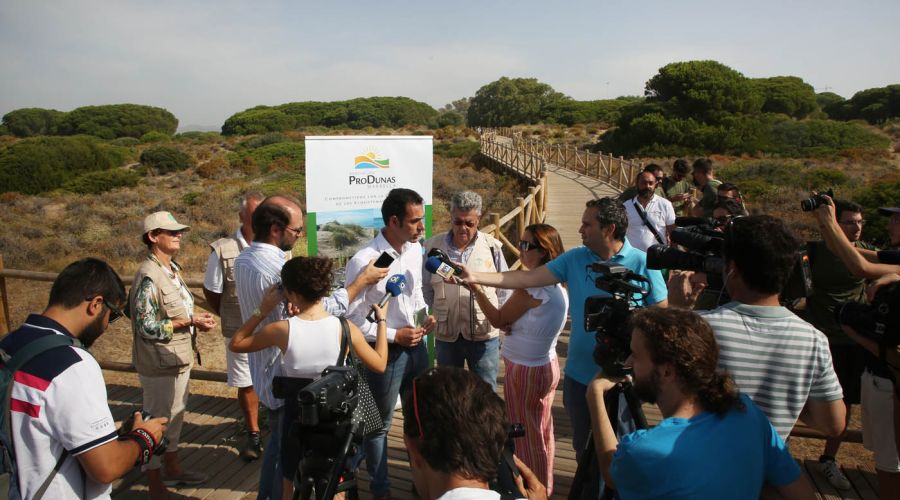 El Ayuntamiento colabora en la suelta de camaleones en las Dunas de Artola