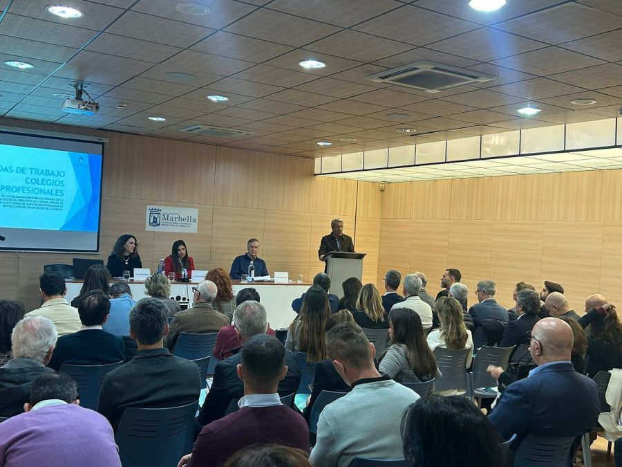 Imagen de la noticia El Ayuntamiento presenta a los colegios profesion…