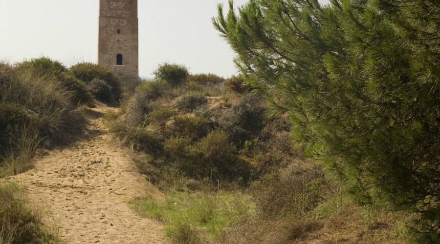 Torre Ladrones o Torre de Los Ladrones