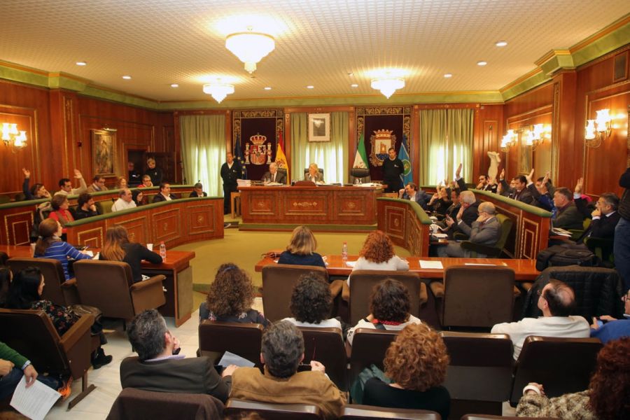 Imagen de la noticia El Pleno aprueba la concesión de las Medallas de…