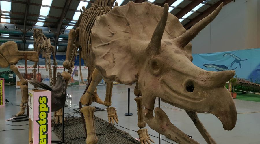 Expo Jurásico regresa al Palacio de Ferias y Congresos del 15 al 31 de agosto